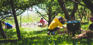 Workers amongst the trees in Welland Community Orchard