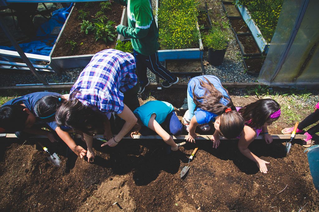 Top down image of children planting seeds in fresh garden bed.