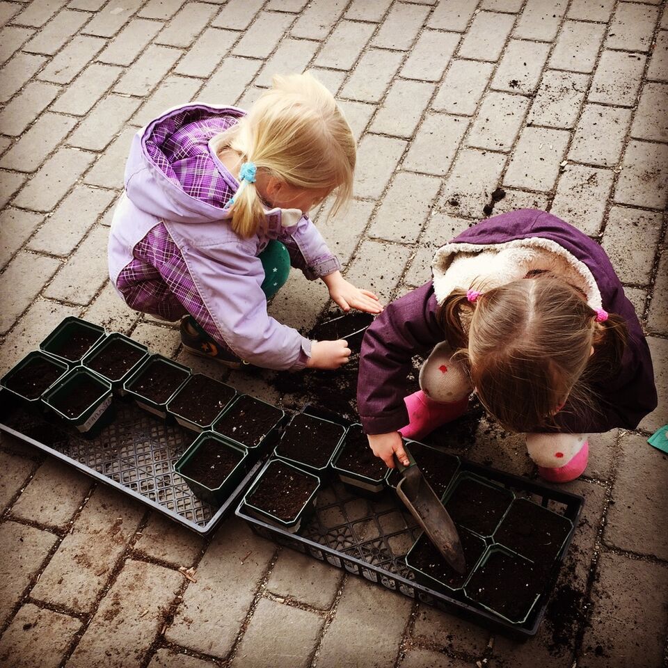 Two young children filling seed trays with dirt.