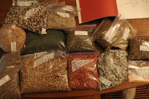Variety of different bagged seeds set up on a table