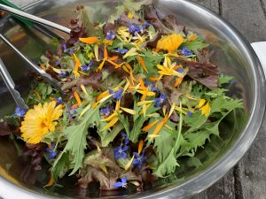 Fresh salad mix with bright orange and blue edible flowers.