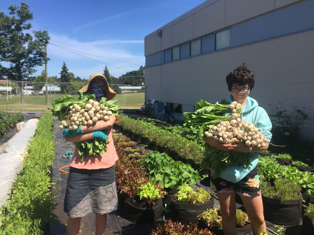 Two students each holding armfuls of freshly picked onions.