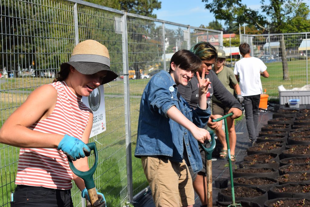 Line up of students as they prepare the dirt in their microfarm with shovels.
