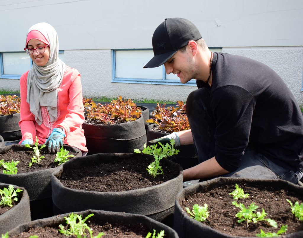 Two students smiling as they plant lettuce in their school ground microfarm.