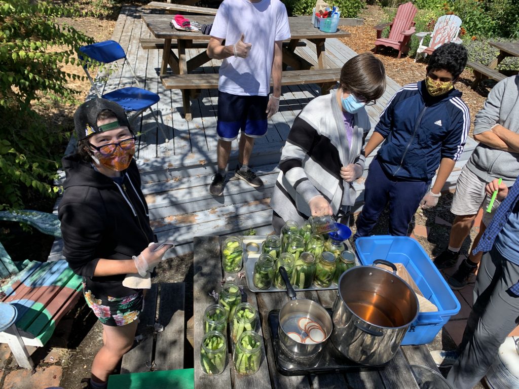 Students canning cucumbers in the school yard during a canning workshop.