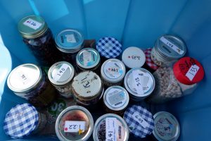 Jars of seeds in a blue bin for the Victoria Seed Library