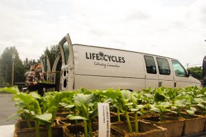 White van with LifeCycles logo seen from afar with seedlings in front, and worker carrying a tray of seedlings