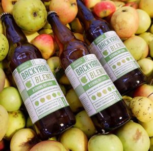 3 Cider bottles laying down on a bed of multiple apples, backyard blend label facing up,