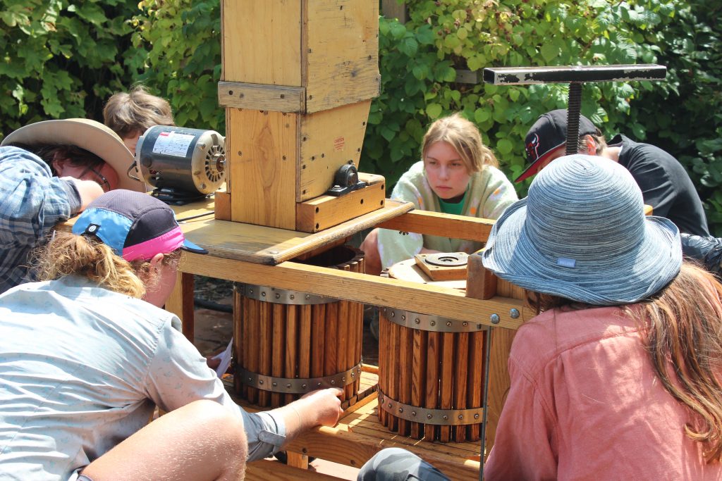 People gathered around an apple press, watching intently as they wait for the juice to come out
