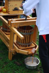 Apples being juiced in cider press by students at Welland Orchard