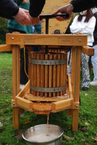 Apple cider press being used, hands turning the crank and juice pouring out