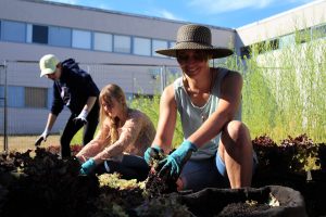 Julia and two other students planting lettuce in a grow-pot under blue skies