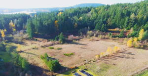 Aerial shot of the Bear Hill Farm Pilot Project site surrounded by trees, Bear Hill Regional Park and a foggy blue sky.