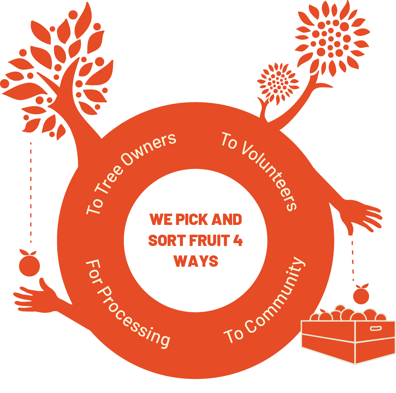 Circular graphic titled "We pick and sort fruit 4 ways" showing the four shares of each harvest: to tree owners, to volunteers, to community, and for processing.