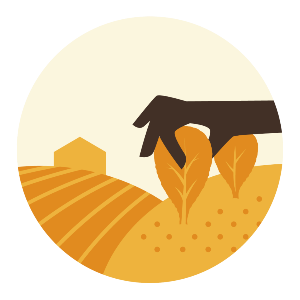 Lifecycles Farm Gleaning Logo