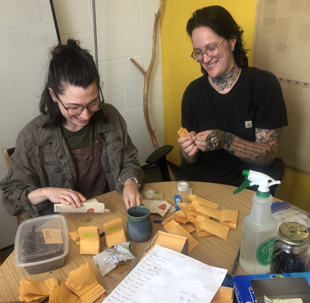Two people sorting seeds.