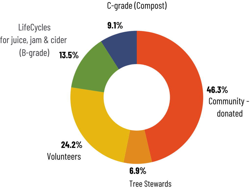 Donut chart showing where the Fruit Tree Project harvest goes: 46.3% donated to the community, 24.2% to volunteers, 13.5% used by LifeCycles for juice, jam and cider (B-grade), 9.1% composted (C-grade), and 6.9% to tree stewards.