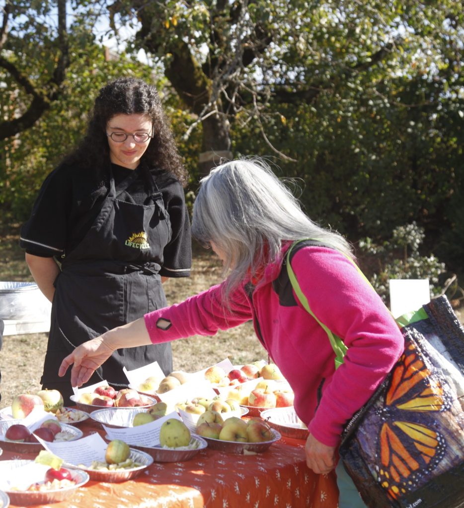 A LifeCycles staff member working at the apple tasting table while a visitor samples apples at Community Sharing Day.