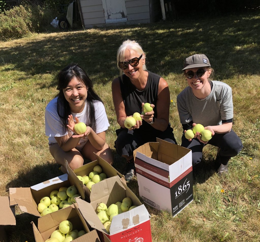Volunteers with fruits at a pick
